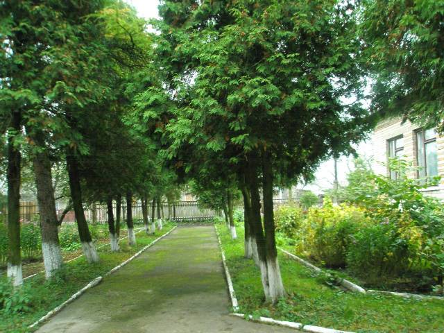 ����������� �� �-�����.